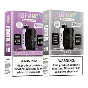 2BFancy NA 25K Disposable vape with pre-filled e-liquid for long-lasting use