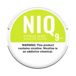Apple Mint NIQ Nicotine Pouches in a compact tin with refreshing flavor